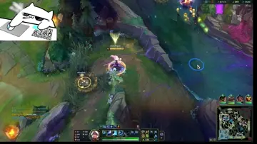 Trynda volador WTF