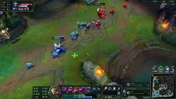 ashe Sup fez a boa