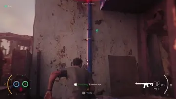 007