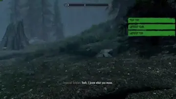 Roleplay