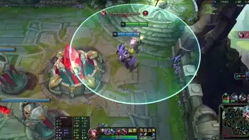 xd