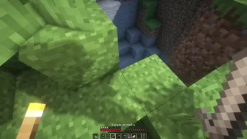esqueletos siendo esqueletos