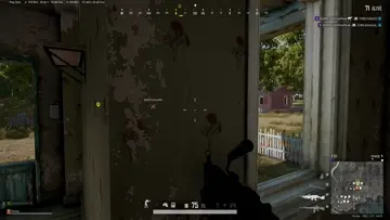 suicide