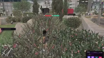 dasfcasvasv