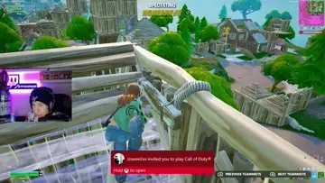 snipe