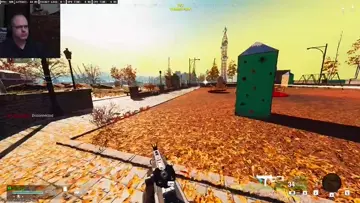snipe
