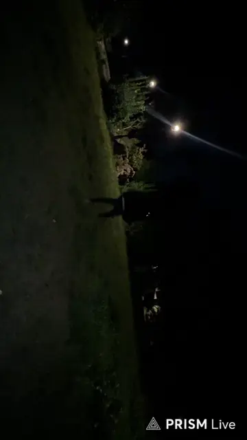 clic viral fantasma