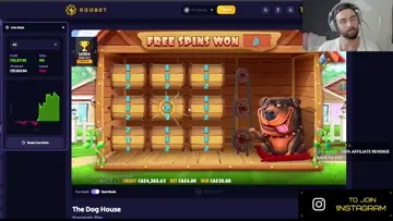 the dog house