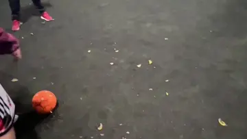 todo pelota?