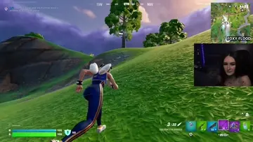snipe