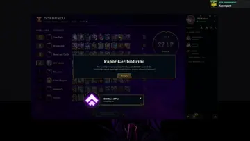 report sistemi