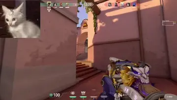 Ace Domingero