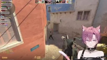 xantares yarrak