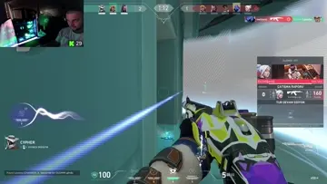 Raze pompakee