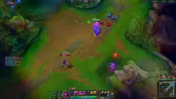 XD