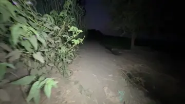 اصوات في بيت الزومبي 