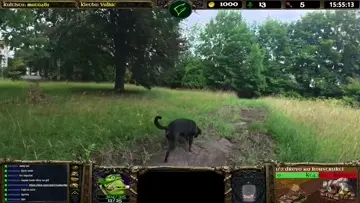 hrabáč
