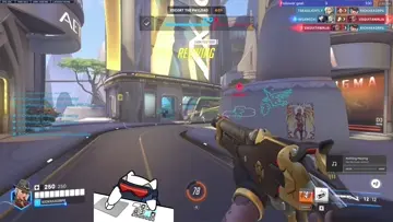 ashe doble