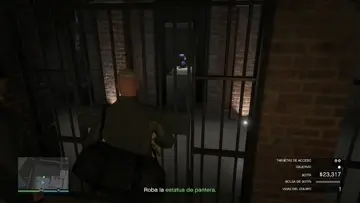 Mi primera pantera
