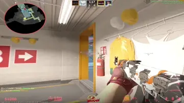Vacshots