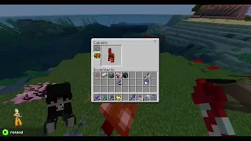 xd