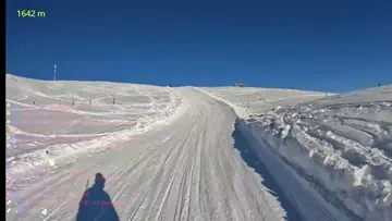 rigi rolfyh