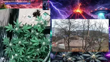 🌿💚 Big love to everyone on the live