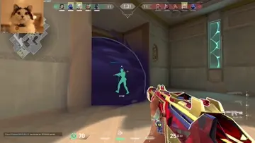 WTF!!