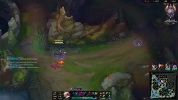 Naafirigodx (euw low master)