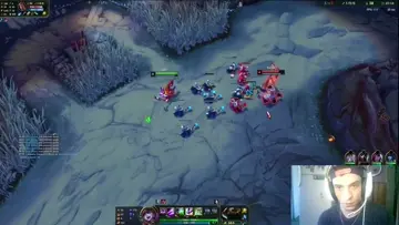 lulu solea darius