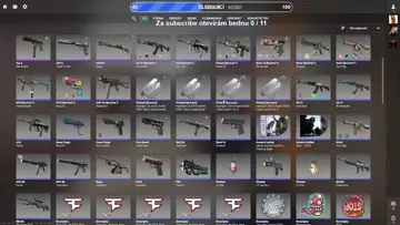 První skin