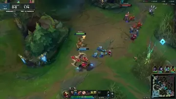 That Nautilus