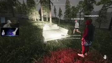 Que pasa si le pego un tiro al chancho?