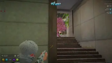 pov de eisa