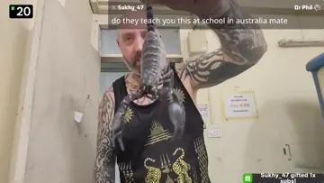Holding The Scorpion