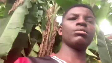 muuu