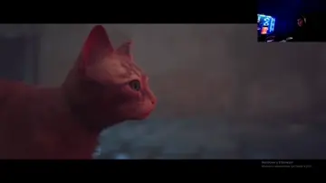 KIZIM KAÇ! KIZIM KAÇ!