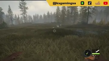 Blacktail Deer One Shot Kill