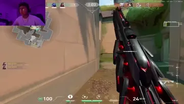 gay