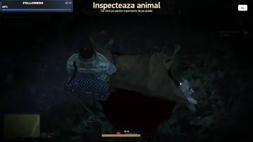 wtf
