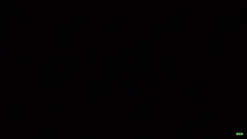 OE IDIOTA