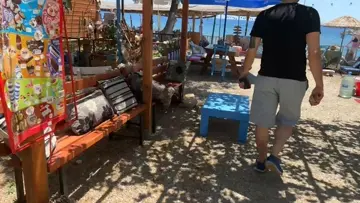 Kod adı: Keltoş