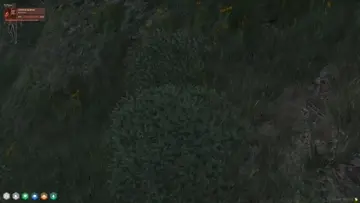 Nice Kitty