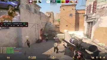 gg