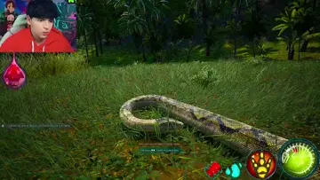 jogando con mi anacondqa