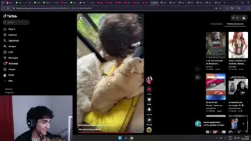 xd