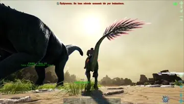 Trex Sladırısı XD