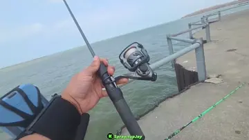 Large Mouth 🐠🎣