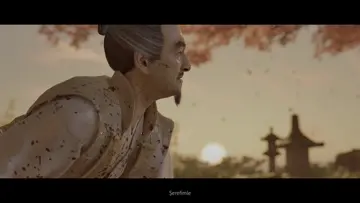 sarıların necibi hatrına seni bagışlıyorum dayı