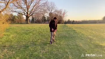 holy hand stands